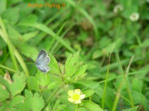 Spiritual Retreat 2011-16